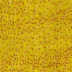 0004