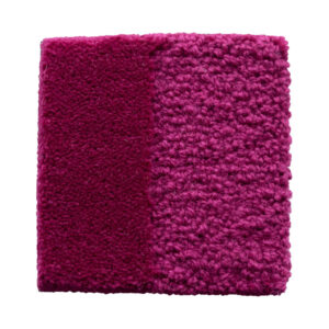 32753