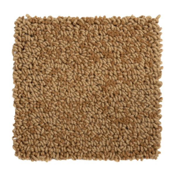 Rollo pro rug