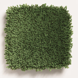 0003